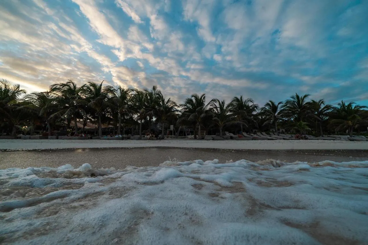 Hotel Cabanas Los Lirios Tulum