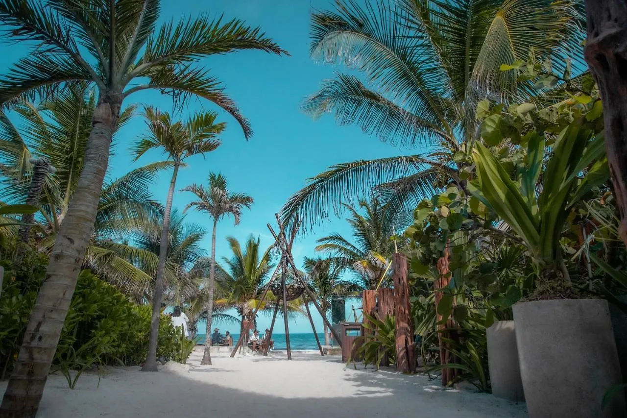 Hotel Cabanas Los Lirios Tulum